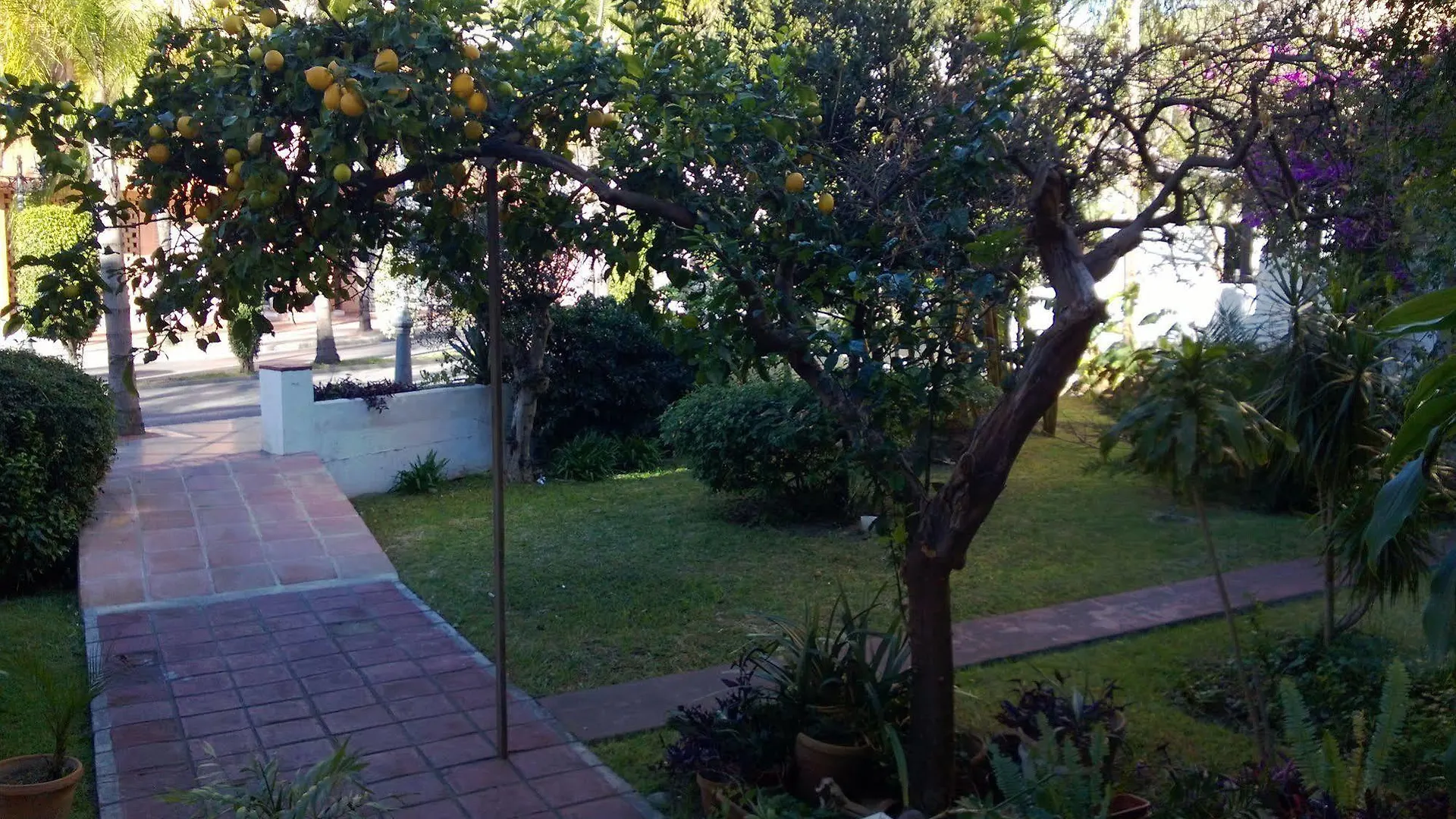 Escandinavia Torremolinos
